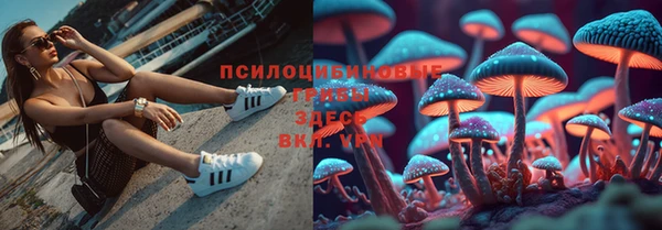 дживик Алексеевка