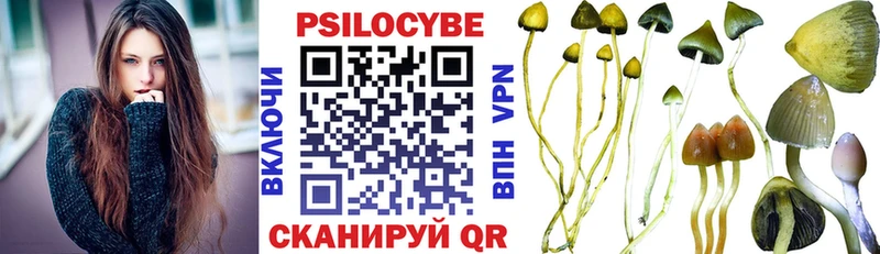 darknet телеграм  купить наркоту  Ессентукская  Псилоцибиновые грибы Psilocybine cubensis 