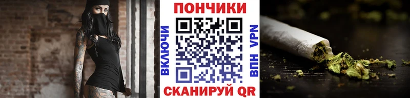 darknet наркотические препараты  Ессентукская  Конопля тримм 